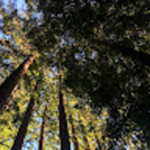 Meet your Posher, Thomas